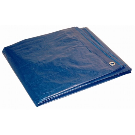 Patioplus 20 ft X 30 ft Tarp, Blue PA2595479